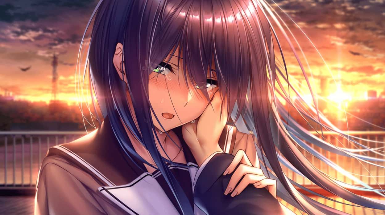 视觉数据2